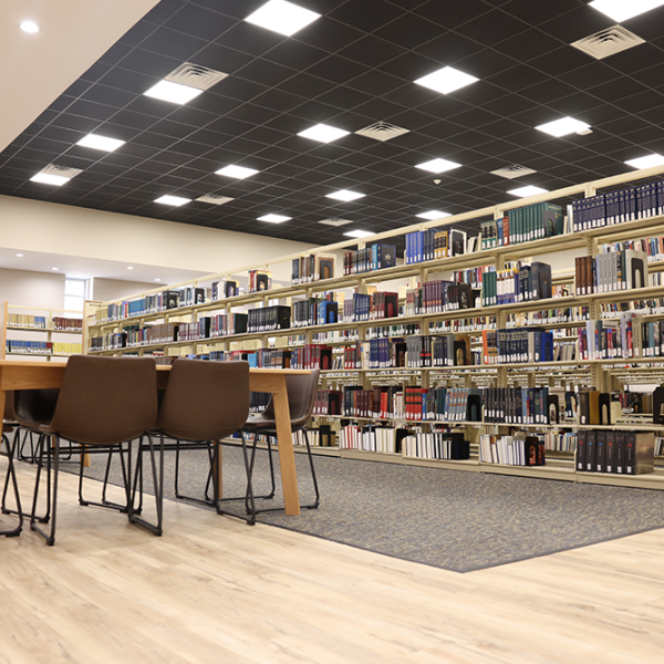 Back to the Books: McMillan Library Reopens